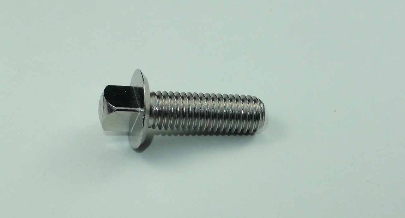 Stainless Special Bolt Triangle Head