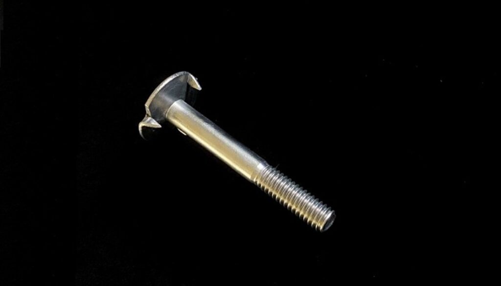 Stainless Special Bolt by Taiwan Manufacturer