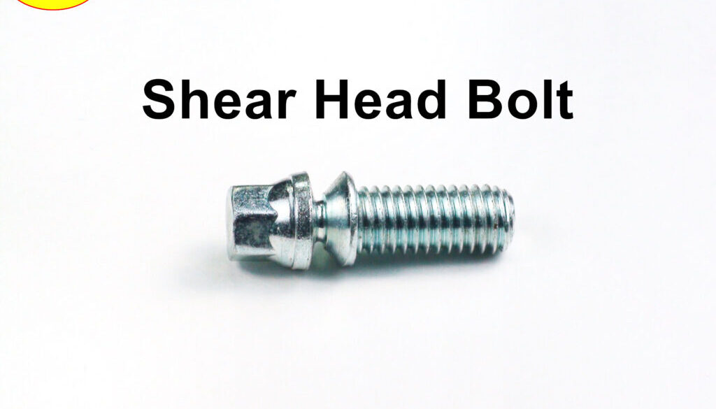 Shear Bolt